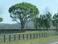 USA-20170506-078