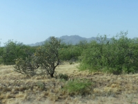 USA-20170506-158