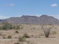 USA-20170507-341