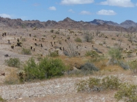 USA-20170507-349