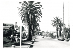 Beverly Hills - 017