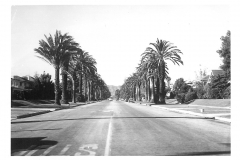 Beverly Hills - 224
