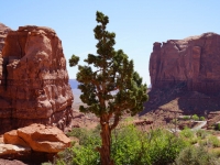 USA-20170503-026