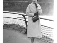 Niagara Falls, Goat Island Road - 227