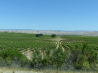 USA-20170513-1089