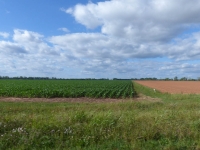 USA-20170423-062